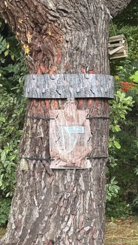 Desinsectisation (28)